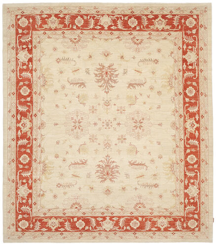 Ziegler teppe NAZC31