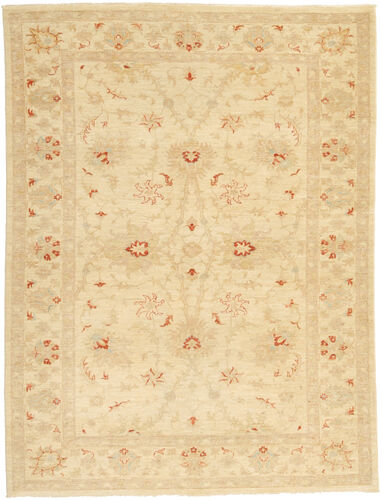 Ziegler teppe AXVZX5893