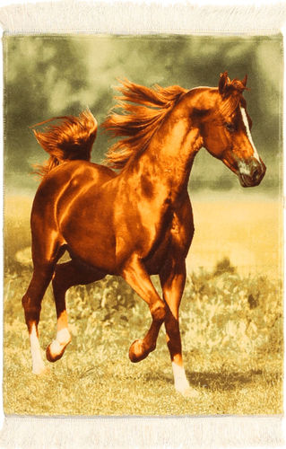 Tabriz 60 Raj Sherkat Farsh carpet AXVZZH6