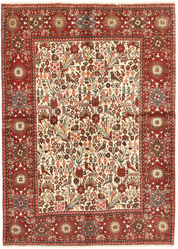Rudbar carpet AXVZX3970