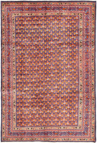 Arak carpet AXVZZZW25