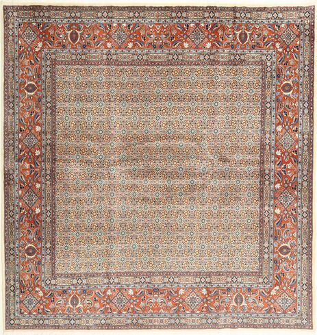 Moud carpet AXVZZZZQ595