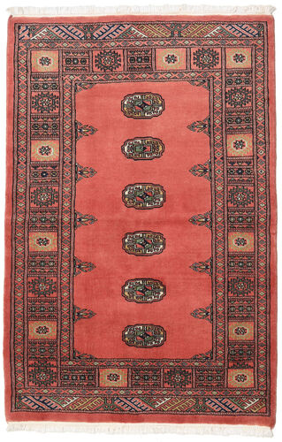 Pakistan Bokhara 2ply carpet RXZQ195